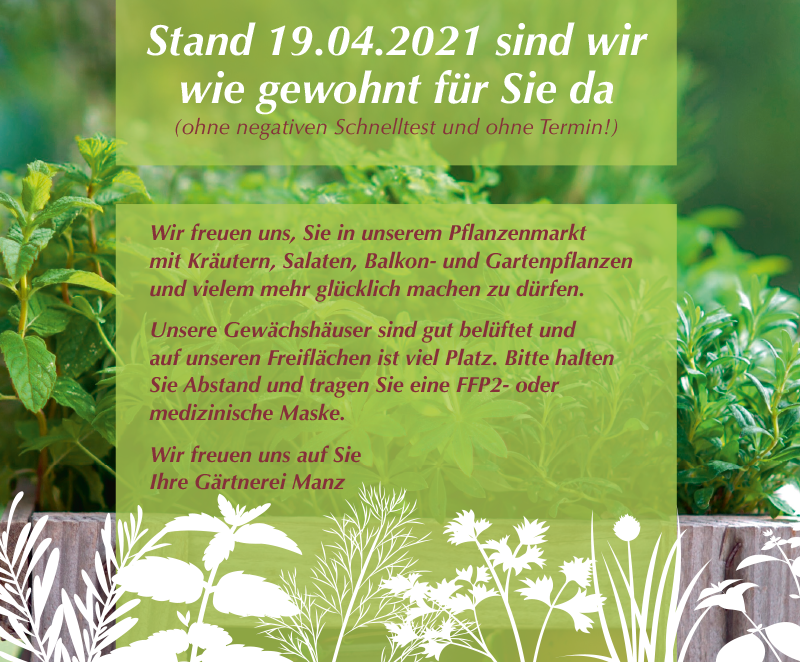 Gärtnerei Manz Neckartenzlingen Ihr Pflanzenprofi
