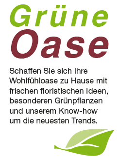 Gärtnerei Manz Neckartenzlingen Ihr Pflanzenprofi