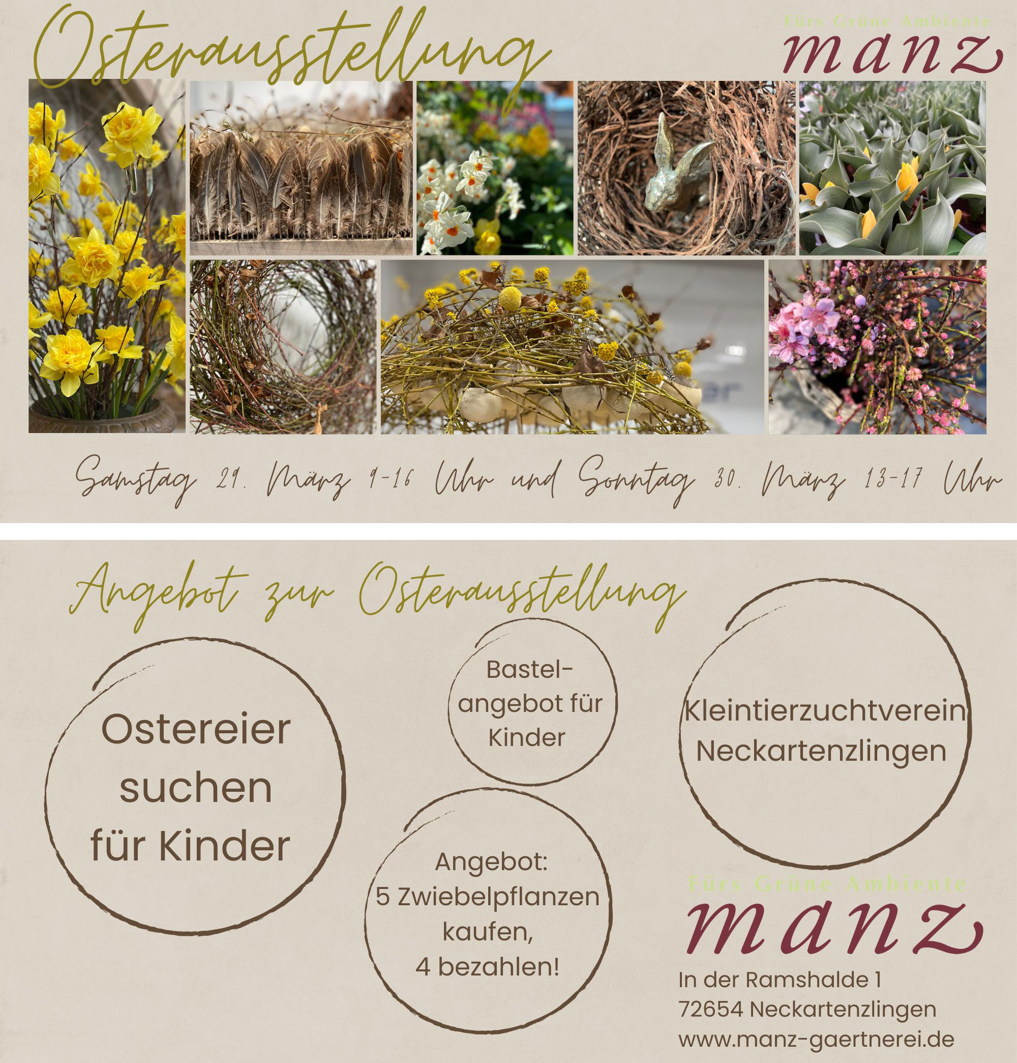Gärtnerei Manz Neckartenzlingen Ihr Pflanzenprofi